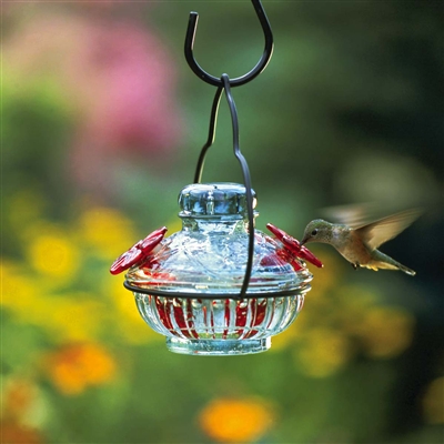 Hummingbird Feeder