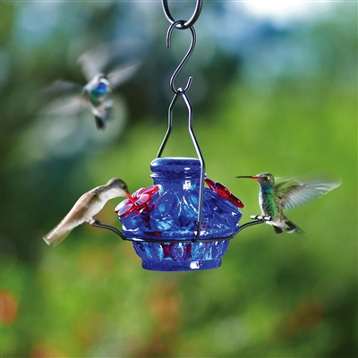 Hummingbird Feeder